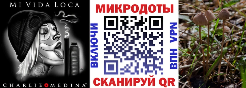 KRAKEN ссылки  Петропавловск-Камчатский  Галлюциногенные грибы ЛСД 